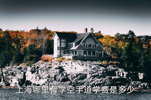 上海哪里有學空手道學費是多少