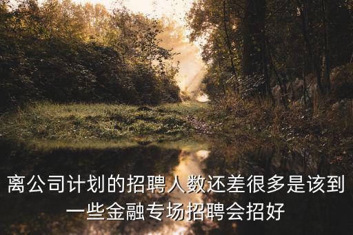 中國金融招聘網，到中國金融人才網找工作效果如何