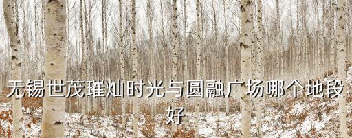 無錫世茂璀燦時光與圓融廣場哪個地段好