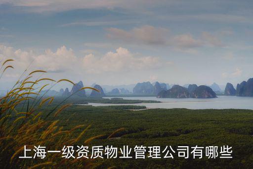 上海一級資質物業管理公司有哪些