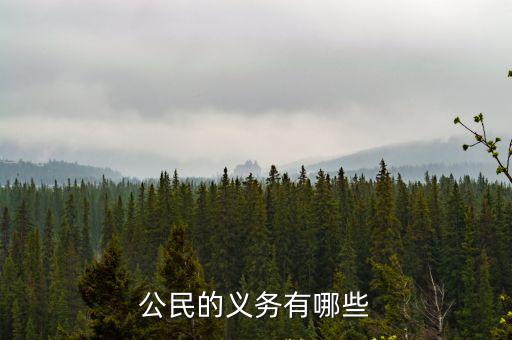 公民的義務(wù)有哪些