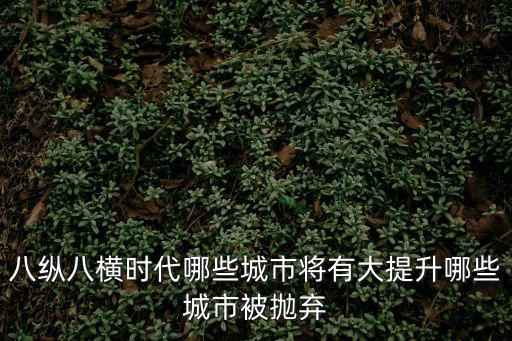 八縱八橫時代哪些城市將有大提升哪些城市被拋棄