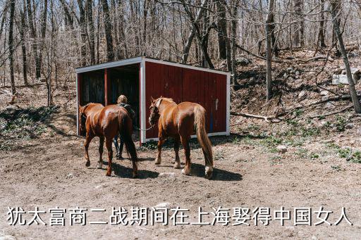 猶太富商二戰(zhàn)期間在上海娶得中國(guó)女人
