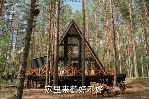 家里來鶴好不好