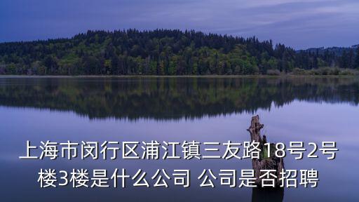 上海市閔行區浦江鎮三友路18號2號樓3樓是什么公司 公司是否招聘