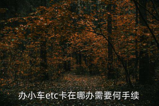 etc卡怎么辦理，辦小車etc卡在哪辦需要何手續(xù)