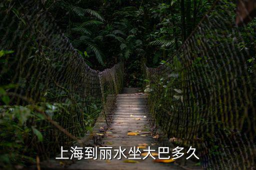 上海到麗水坐大巴多久