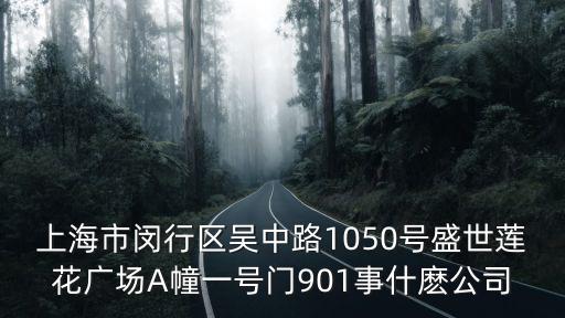 上海市閔行區吳中路1050號盛世蓮花廣場A幢一號門901事什麼公司