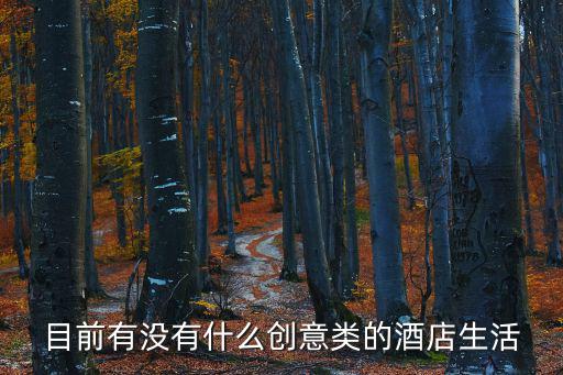創(chuàng)意酒店，做創(chuàng)意酒店設計做的比較好的公司在成都有嗎