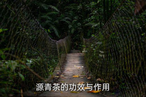源茗茶，婺源茗茶喝了會(huì)肚子痛