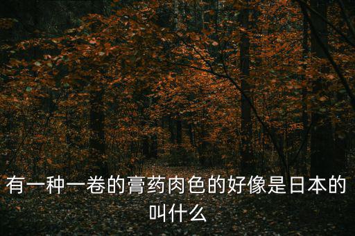 有一種一卷的膏藥肉色的好像是日本的叫什么