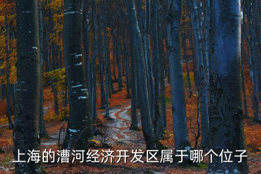 上海漕河涇開發(fā)區(qū)，上海的漕河經(jīng)濟(jì)開發(fā)區(qū)屬于哪個位子
