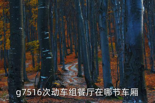 g7516次動車組餐廳在哪節車廂