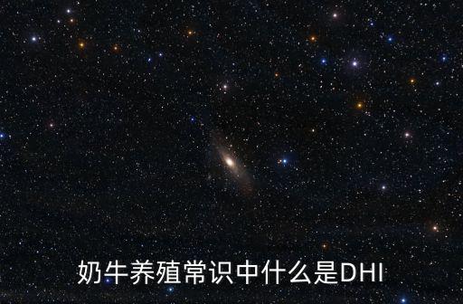 DHI，dhi實(shí)驗(yàn)室是什么意思