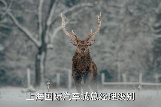 上海國際汽車城總經(jīng)理級別