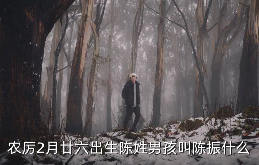 農厲2月廿六出生陳姓男孩叫陳振什么