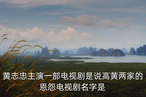 高黃，黃志忠主演一部電視劇是說高黃兩家的恩怨電視劇名字是