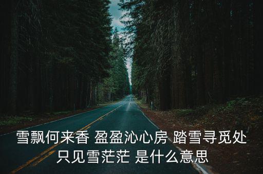 雪飄香，雪飄代表什么