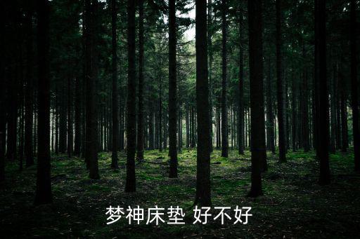夢神床墊 好不好