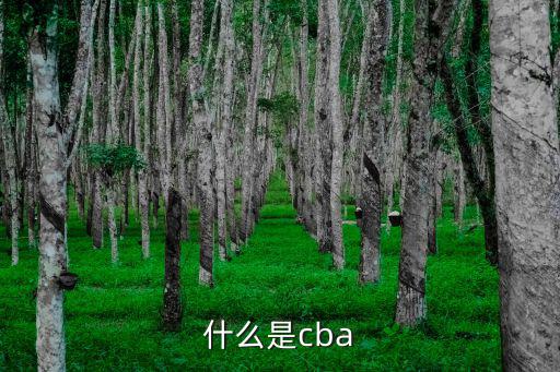 cba是什么意思，什么是cba