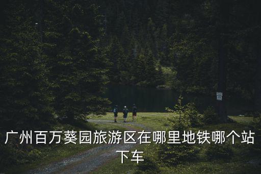 南沙百萬葵園，廣州百萬葵園旅游區在哪里地鐵哪個站下車