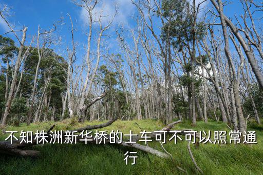 新華橋，新華橋在哪條路上