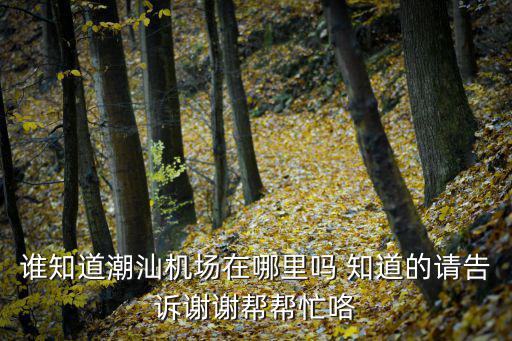 潮汕機(jī)場(chǎng)在哪里，誰(shuí)知道潮汕機(jī)場(chǎng)在哪里嗎 知道的請(qǐng)告訴謝謝幫幫忙咯