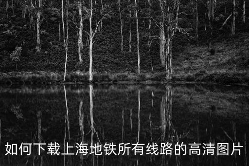 如何下載上海地鐵所有線路的高清圖片