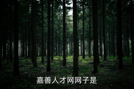 嘉善人才網，嘉善人才網網子是
