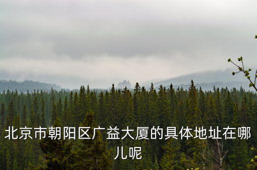 廣益大廈，北京西城區(qū)廣安門內(nèi)廣義街廣益大廈a座1122的郵政編碼