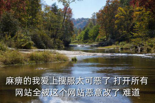 麻痹的我愛(ài)上搜服太可惡了 打開(kāi)所有網(wǎng)站全被這個(gè)網(wǎng)站惡意改了 難道