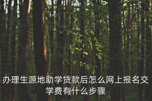 網(wǎng)上交學(xué)費(fèi)怎么交，辦理生源地助學(xué)貸款后怎么網(wǎng)上報(bào)名交學(xué)費(fèi)有什么步驟