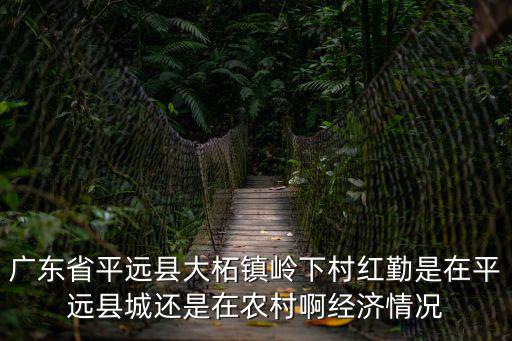 嶺下村，廣東省平遠縣大柘鎮嶺下村紅勤是在平遠縣城還是在農村啊經濟情況