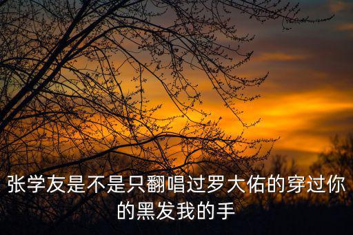 張學友是不是只翻唱過羅大佑的穿過你的黑發(fā)我的手