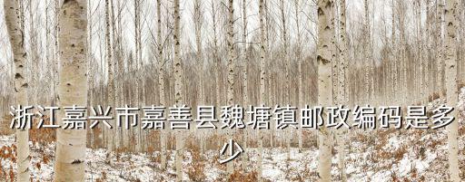 嘉善郵編，浙江嘉興市嘉善縣魏塘鎮郵政編碼是多少