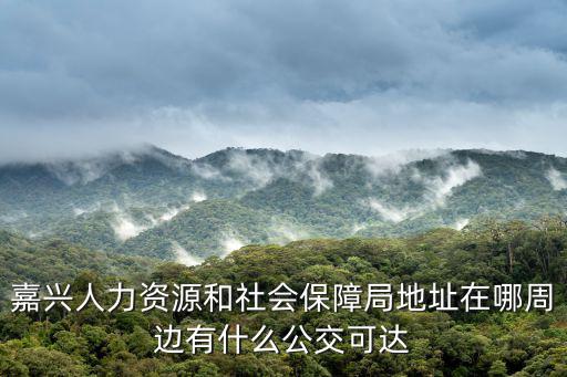 嘉興人社局，嘉興市的社保局在哪里