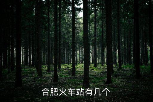 合肥火車站有幾個