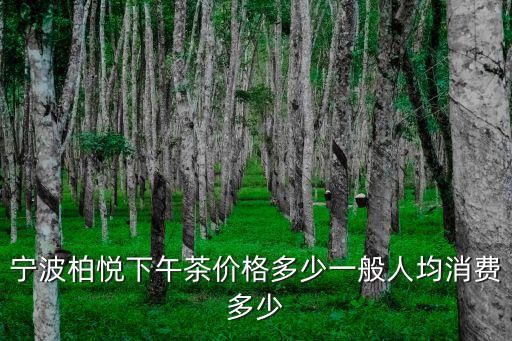 寧波柏悅下午茶價(jià)格多少一般人均消費(fèi)多少