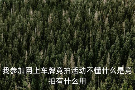 我參加網上車牌競拍活動不懂什么是競拍有什么用