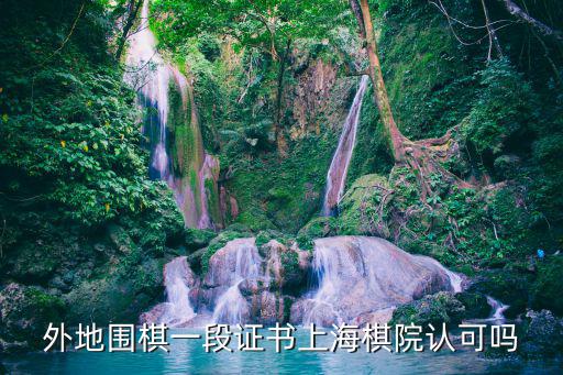 上海棋院，上海寶山區(qū)哪有中國象棋棋院