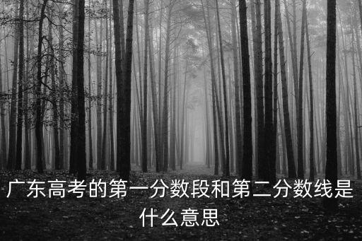 廣東高考的第一分數(shù)段和第二分數(shù)線是什么意思
