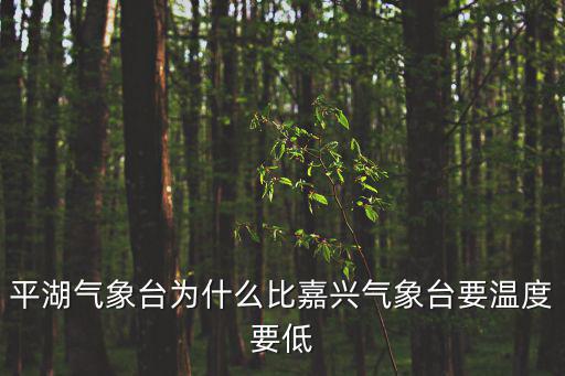 平湖氣象臺(tái)為什么比嘉興氣象臺(tái)要溫度要低