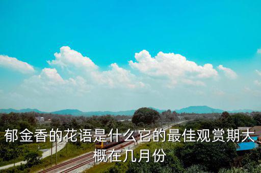 郁金香的花語是什么它的最佳觀賞期大概在幾月份