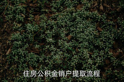 住房公積金銷戶提取流程