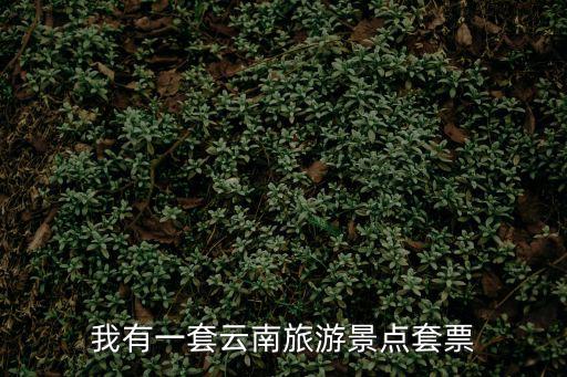 我有一套云南旅游景點套票