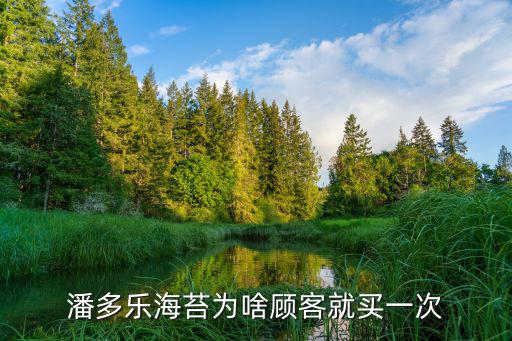 潘多樂海苔為啥顧客就買一次