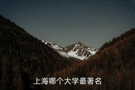 上海哪個(gè)大學(xué)最著名