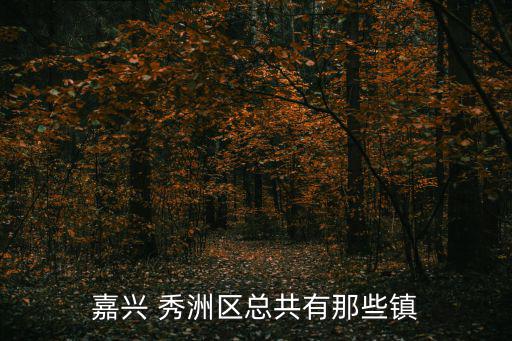 嘉興 秀洲區(qū)總共有那些鎮(zhèn)