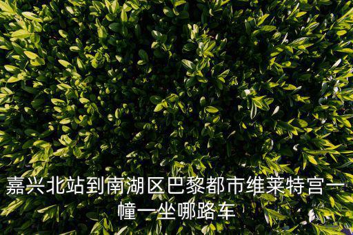 嘉興北站到南湖區巴黎都市維萊特宮一幢一坐哪路車