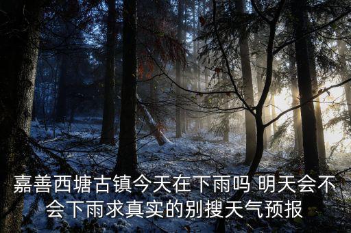 嘉善西塘古鎮今天在下雨嗎 明天會不會下雨求真實的別搜天氣預報